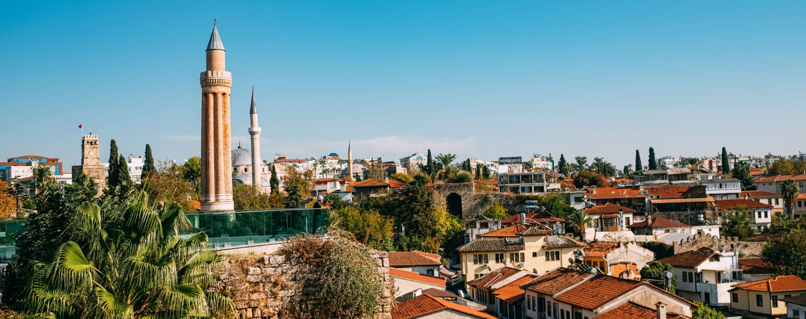 Study medicine in Cyprus in English