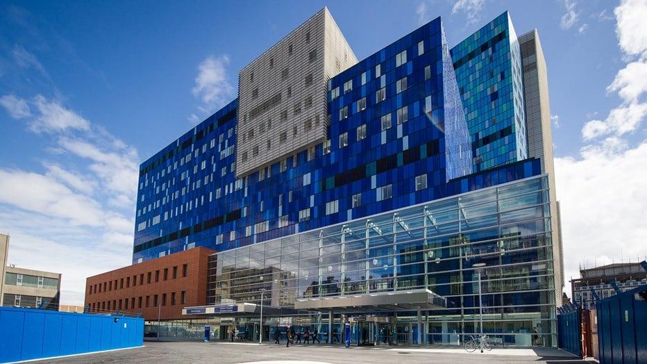 Can You Work in Hospitals or Arrange Clinical Rotations While Studying Medicine Abroad?